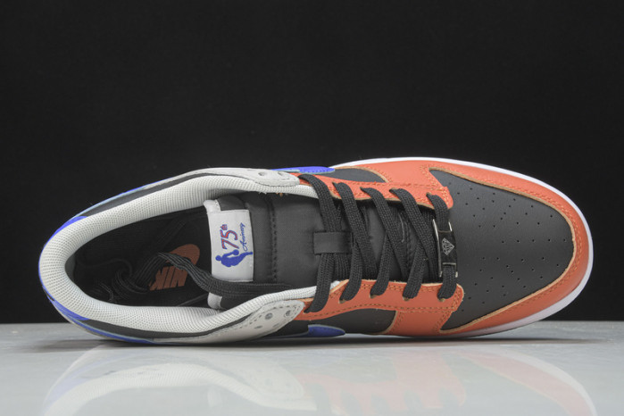 nba x nk dunk low emb